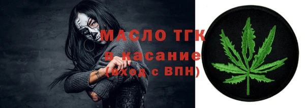 ГАЛЛЮЦИНОГЕННЫЕ ГРИБЫ Порхов
